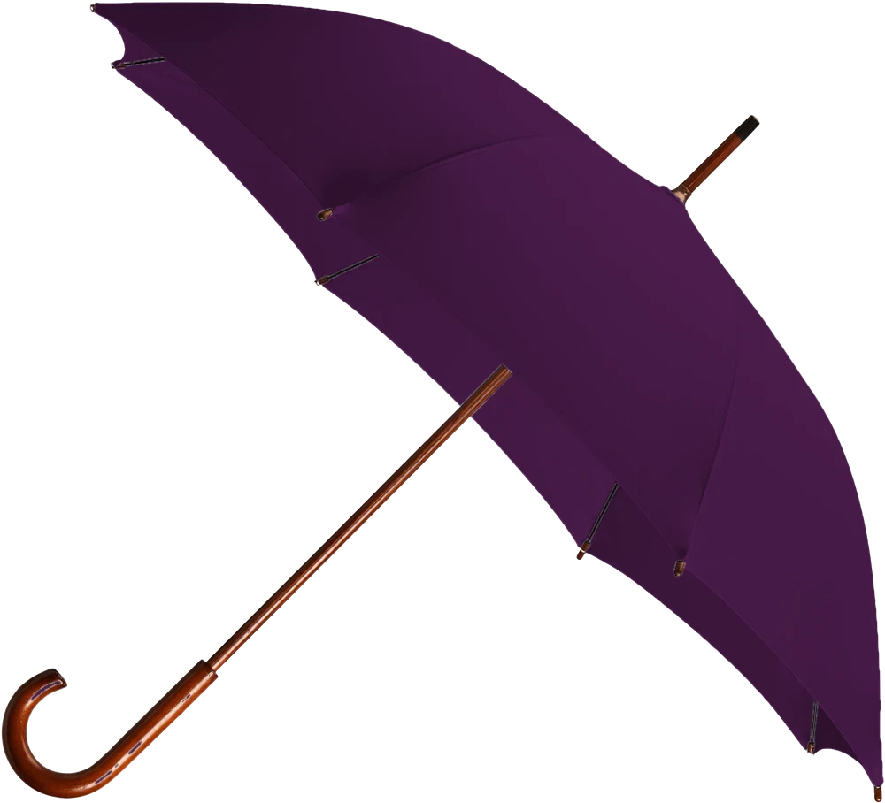Parapluie droit prune à poignée crochet bois, zones personnalisables